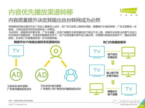 中国网络自制内容行业研究报告